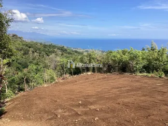 For Sale: Premium Land with Spectacular Ocean, Rice Field