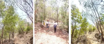 For Sale Tanah  SHM Tebing Pantai 11.975 m2 Yogyakarta