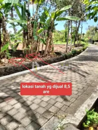 Jual Tanah Luas di Jalan Raya Tanah Lot Tabanan Bali
