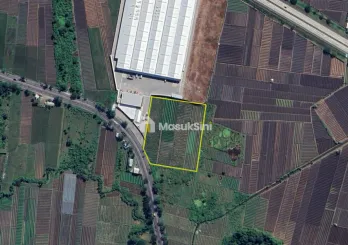 Jual Tanah Luas Murah di Nol Jalan By pass Nganjuk Strategis