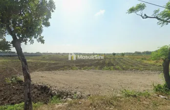 Jual Tanah Luas Murah di Nol Jalan By pass Nganjuk Strategis