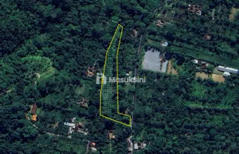 Jual Tanah Perkebunan di Jalan Raya Payangan Gianyar Bali