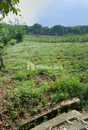Jual Tanah Untuk Rumah Kos Student House Dekat ITB UNPAD di Jatinangor