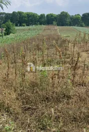 Jual Tanah Untuk Rumah Kos Student House Dekat ITB UNPAD di Jatinangor