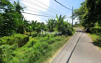 Tanah Dijual di Desa Kaliasem Buleleng Bali