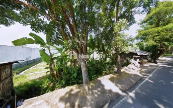 Tanah Dijual di Poros Jalan Desa Temukus Buleleng Bali