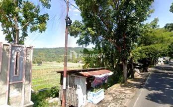 Tanah Dijual di Poros Jalan Desa Temukus Buleleng Bali