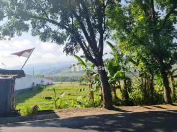 Tanah Dijual di Poros Jalan Desa Temukus Buleleng Bali