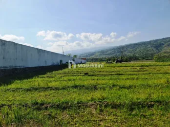 Tanah Dijual di Poros Jalan Desa Temukus Buleleng Bali