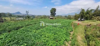 tanah pandanrejo kota batu