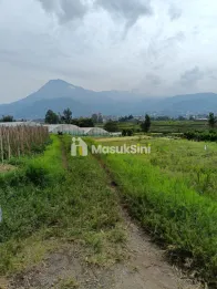 Tanah termurah area perhotelan dan villa di jl metro Batu