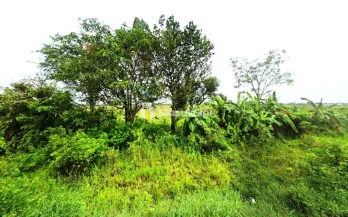 Tanah Dijual Jl Babakan Karawang Jawa Barat