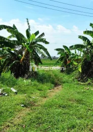 Tanah Dijual Jl Babakan Karawang Jawa Barat