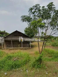 HARGA TERMURAH! Jual Tanah Siap Bangun di Gresik Dekat Surabaya