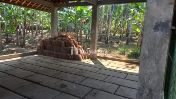 Jual Tanah dan Kolam Ikan Luas 3500 M/2