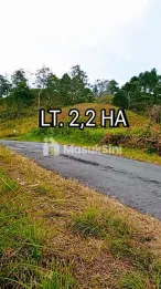 Dijual Tanah 2,2 Hektar View Danau Toba di Merek Karo Dekat Simalem Resort