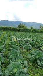 Dijual Tanah Datar Pegunungan Berastagi 15.200m² kec. Barus Jahe