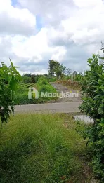 Dijual Tanah Datar Pegunungan Berastagi 15.200m² kec. Barus Jahe