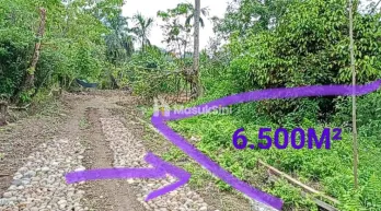 Dijual Tanah Pegunungan Sibolangit 6.500 M² di Pinggir Jalan Desa Bandar Ba