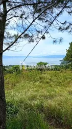 Dijual Tanah Pegunungan Wisma Camping Resort Danau Toba 5.000m²