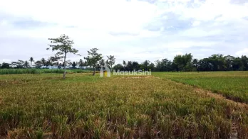 Dijual Tanah Strategis di Jl Jatirejoyoso Kepanjen Malang