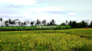 Dijual Tanah Strategis di Jl Jatirejoyoso Kepanjen Malang