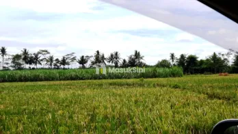 Dijual Tanah Strategis di Jl Jatirejoyoso Kepanjen Malang