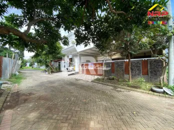 Disewakan Rumah Mendut - Banyuwangi Kota