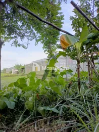 Gudang + Rumah + Greenhouse 2 M