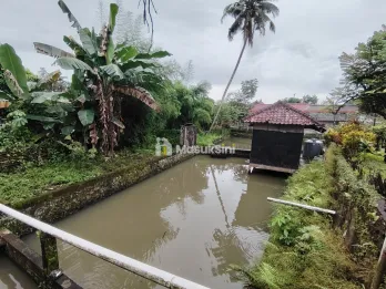 HITUNG TANAH RUMAH LUAS DEKAT TERMINAL LALADON BOGOR