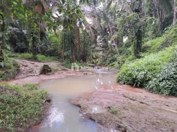 Jual Kebun Sawit Murah 92.304 m² di Talun Kenas Deli Serdang