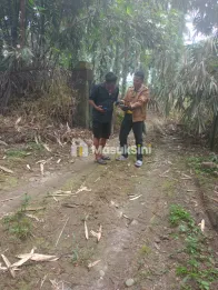 Jual Kebun Sawit Murah 92.304 m² di Talun Kenas Deli Serdang