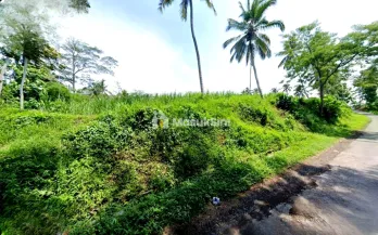 Tanah Dijual Jl Diponegoro, Tangkilsari Tajinan Kab Malang