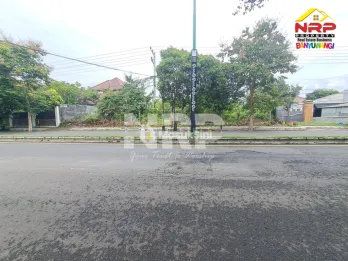 Tanah disewakan di Jl. Gajah Mada Banyuwangi Lokasi premium