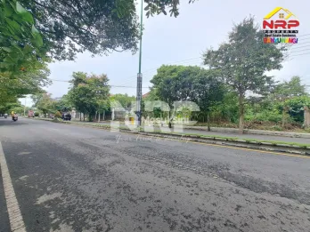 Tanah disewakan di Jl. Gajah Mada Banyuwangi Lokasi premium