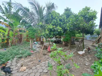 Tanah pusat kota Banyuwangi dekat Pemda