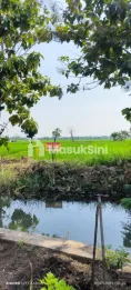 Tanah SHM dekat Pintu Tol Grati