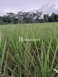 tanah wagir malang