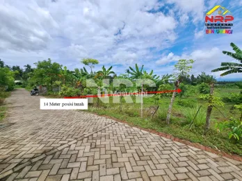 DIJUAL TANAH 1 HEKTAR DI KALIREJO BANYUWANGI