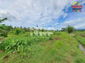 DIJUAL TANAH 1 HEKTAR DI KALIREJO BANYUWANGI