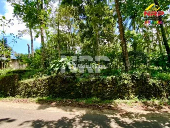 Dijual Tanah Kebun Akses Aspal di Dekat Kawah Ijen - Licin Banyuwangi