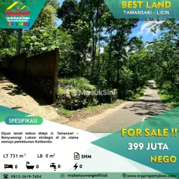 Dijual Tanah Kebun Akses Aspal di Dekat Kawah Ijen - Licin Banyuwangi