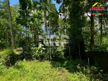 Dijual Tanah Kebun Akses Aspal di Dekat Kawah Ijen - Licin Banyuwangi