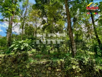 Dijual Tanah Kebun Akses Aspal di Dekat Kawah Ijen - Licin Banyuwangi