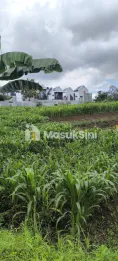 DIJUAL TANAH ORO-ORO BATU JATIM