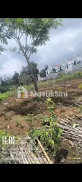 DIJUAL TANAH ORO-ORO BATU JATIM