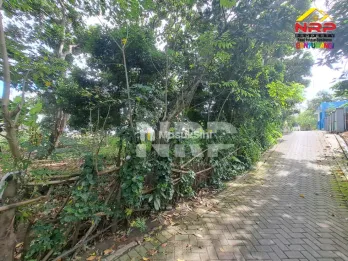 Dijual Tanah Siap Bangun di Banyuwangi Depan Polres