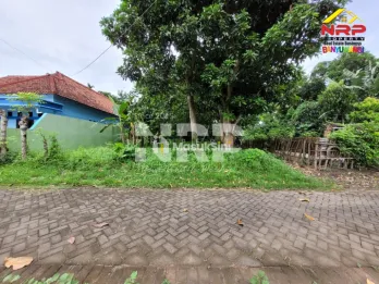 Dijual Tanah Siap Bangun di Kebalenan Banyuwangi