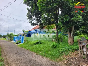 Dijual Tanah Siap Bangun di Kebalenan Banyuwangi