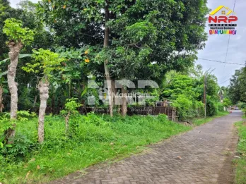 Dijual Tanah Siap Bangun di Kebalenan Banyuwangi
